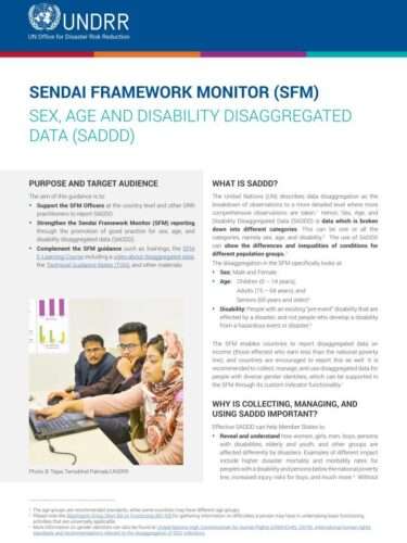 P2129 Sendai Framework Monitor SADDD digital 001 0